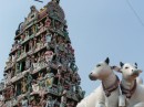 singapur-03 * Eingang von Hindu Tempel mitten in China Town * 2048 x 1536 * (1.51MB)